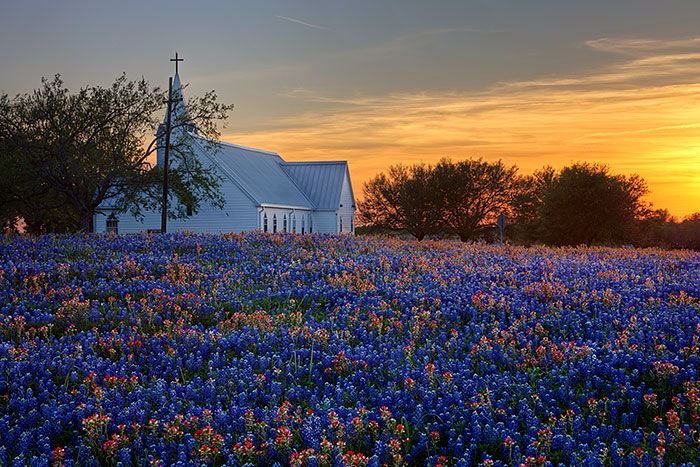 Church in Wildflowers